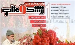 همایش ملی زرشک و عناب فردا در خراسان جنوبی برگزار می‌شود
