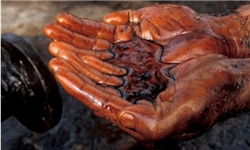 توسعه همکاری‌های زیست محیطی در میادین نفتی