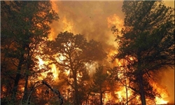 وقوع آتش سوزی بزرگ در ایالت تگزاس آمریکا