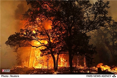 آتش‌سوزی جنگل‌های تگزاسآتش‌سوزی جنگل‌های تگزاس