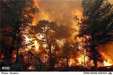آتش‌سوزی جنگل‌های تگزاس