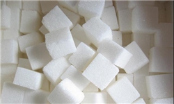 کارخانه قند مغان 24 هزار تن شکر تولید می‌کند