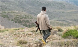 باند قاچاق پرنده در آذربایجان غربی متلاشی شد