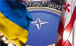 آمریکا: گرجستان هنوز آمادگی عضویت در ناتو را ندارد