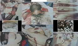کشتار حجاج ماهیت آل‌سعود را آشکار کرد