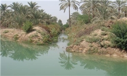 اجرای بیش از 9 هزار شبکه اصلی آبیاری در استان بوشهر