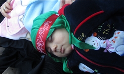 همایش جهانی شیرخوارگان حسینی در کاشان برگزار شد