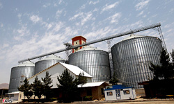 مجتمع تولید آرد گلبرگ با کمبود نقدینگی مواجه است
