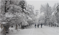 بارش برف در شهر زنجان آغاز شد
