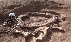 کشف بقایای دایناسور 210 میلیون ساله در شهرضا