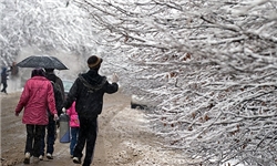 بارش برف در نواحی جنوبی استان زنجان