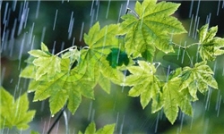 بارش 19 میلی‌متر باران در زنجان