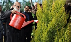 کاشت 65 هزار اصله نهال در جنوب تهران