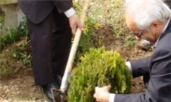 کاشت درخت در منزل شهیدان طارمی انجام شد