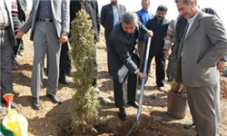 دومین جشنواره درختکاری در مشهد برگزار شد