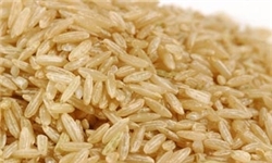 کشف 2 تن برنج قاچاق در زاهدان