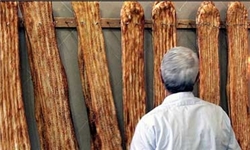 انتقاد شدید از وضعیت نامناسب پخت نان و توزیع میوه در اردبیل