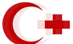 تمرکز 70 درصد از عملیات‌های کمیته بین‌المللی صلیب ‌سرخ در جهان اسلام