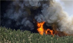وقوع آتش‌سوزی مجدد در باغ‌های دوساری / کمبود امکانات آتش‌نشانی برای مهار آتش
