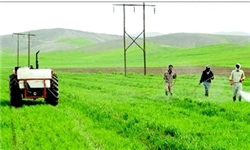 اجرای 100 طرح کشاورزی در جلگه چاه‌هاشم ایرانشهر
