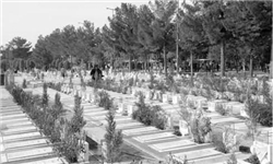 ساماندهی 9 گلزار شهدا در بخش مرکزی دشتستان
