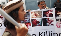 مجامع جهانی سکوت خود در برابر نسل‌کشی میانمار را بشکند