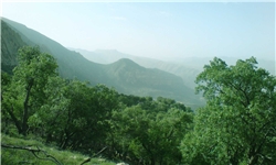 واگذاری عرصه‌های ‌جنگلی به مردم منطقه پشت‌کوه فلارد