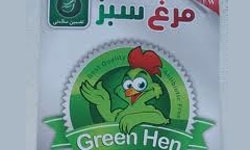 725 تن مرغ سبز در گیلان تولید شد