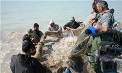 صید 30 تن انواع ماهیان استخوانی دریایی در گلستان