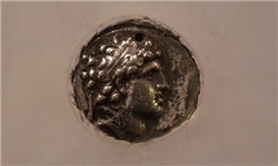 278 سکه تاریخی در چهارمحال و بختیاری کشف شد