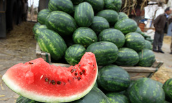 ذخیره میوه شب یلدا کافی است / صادرات علت گرانی هندوانه