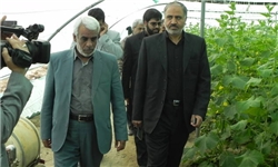 مسولان شرکت مس ایران کار مطالعاتی معدن عنبرآباد را آغاز کنند