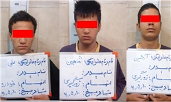 دستگیری بیش از یک هزار مجرم در استان بوشهر