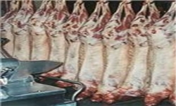 گوشت مصرفی مردم اردبیل از کشتارگاه‌های صنعتی تامین می‌شود