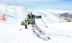15 مسابقه لیگ بین‏المللی اسکی در تهران برگزار می‏شود