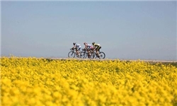 برگزاری مرحله چهارم تور دوچرخه‌‌سواری بین‌المللی در مسیر خوی به ارس