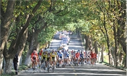 همایش دوچرخه‌سواری در سیرجان برگزار شد
