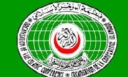 اتحادیه عرب و سازمان همکاری اسلامی آتش بس در سوریه را خواستار شدند