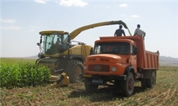 تولید 533 هزار تن محصول کشاورزی در همدان