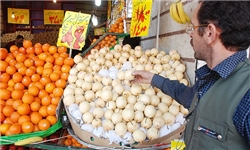 توزیع 200 تن سیب و پرتقال در ساری و میاندرود