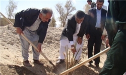 کاشت 700 اصله نهال در جوار امامزادگان شهرستان سمیرم