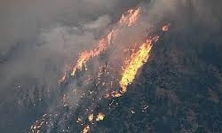 مهار آتش‌سوزی در جنگل عامری دیلم / وسعت آتش‌سوزی 20 هکتار