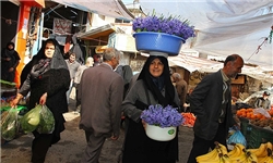قیمت کالاهای اساسی در مازندران اعلام شد