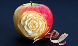 برداشت 500 هزار تن سیب از باغ‌های فارس