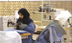 جذب 4 درصدی اعتبارات مشاغل خانگی در بوشهر