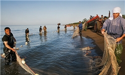 افزایش 10 هزار تنی صید ماهیان استخوانی در دریای خزر