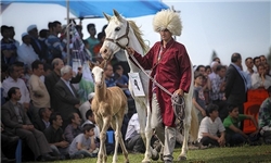 حضور ایران در کنگره جهانی اسب ترکمن