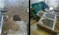 مالکی: نبش قبر «حجر بن عدی» وحدت مسلمانان را هدف قرار داده است