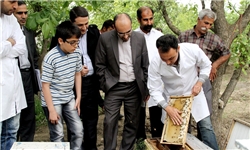 بزرگترین معضل تولیدکنندگان عسل خوزستان نبود خط بسته‌بندی است