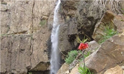 آبشار تنگ مو رؤیای طبیعت در بلادشاپور + تصاویر